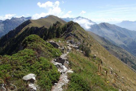 Le beau chemin de crêtes entre le Chamoux et la Croix de Rougny