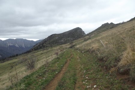 Retour dans la prairie, vue arrière