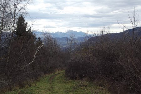 Vue arrière sur la Chartreuse