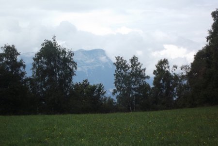 Du bord d’un pré, vue sur le Moucherotte