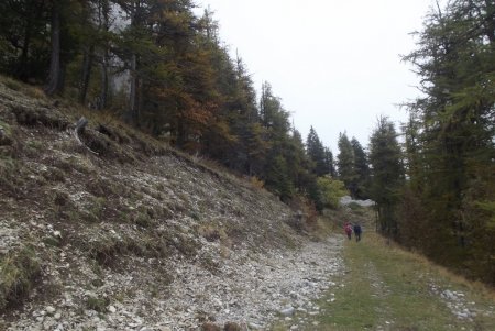 Le beau chemin après le chalet