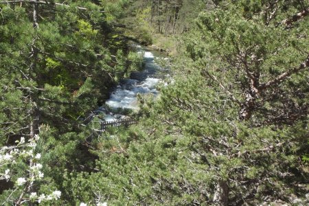 Passerelle de l’Infernet vue du haut du canyon