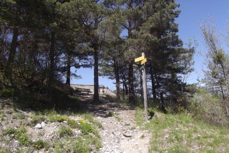 Vers les Ruines de Pellafol