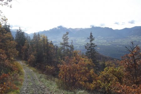 Plaine du Trièves et Jocou