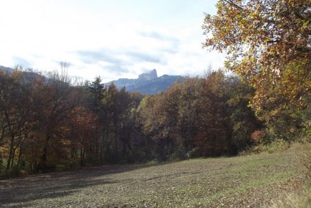 Mont Aiguille devant un pré