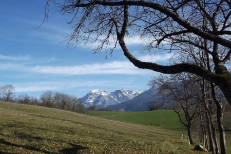 La vue du lieu de pique-nique