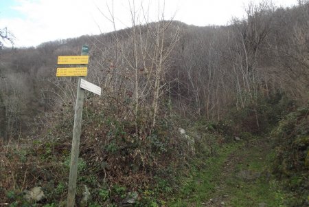 Sentier montant vers Pléney