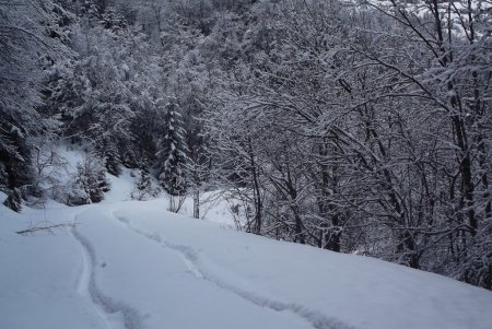 L’hiver n’est pas mort !