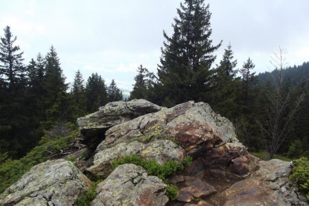  Sur le sommet, d’où l’on doit avoir une belle vue par beau temps....!