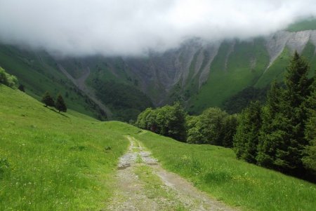 Vue arrière vers les drayes