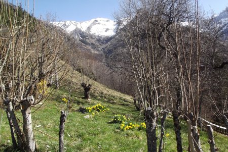 Printemps en montagne