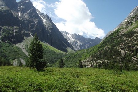 Vallon du Chardon