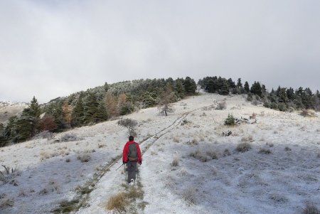 Montée vers le Marzenc.