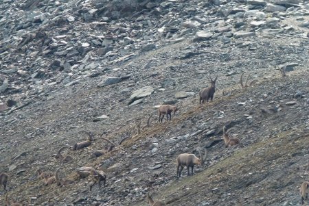 Les copains sont là, fidèles au rendez-vous !