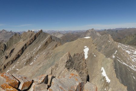 Dents de Maniglia.