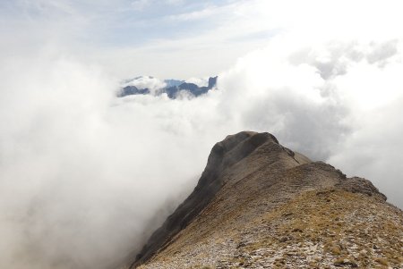 Dans le rétro.