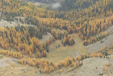 Vallon de l’Encoungoura et deux cabanes.