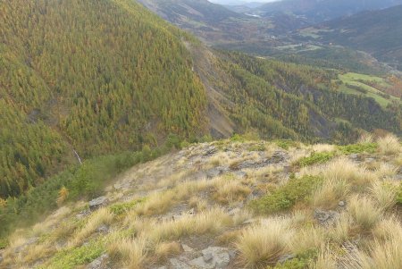 Descente de la croupe SO du Tourtourel pour retrouver le PR.