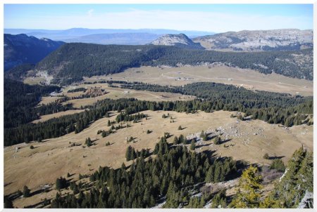 Plateau côté col des Glières