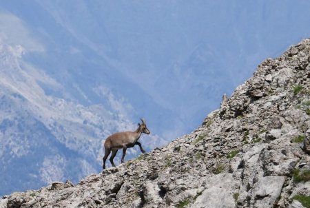 C’est celui d’en bas qui va rejoindre ses copains.