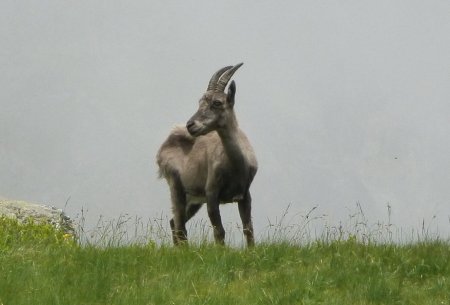 Nous cohabitons aux abords du lac