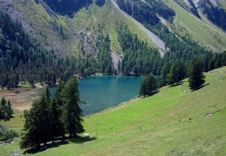 Route de l’Albulapass (versant nord).