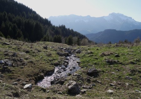 Le nant de Size à la Greubaz, et la Tournette au fond.