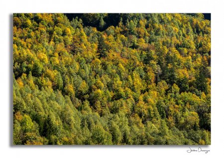 Tableau de saison