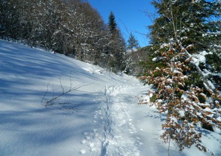 Remontée de la Vallée des Reblats.