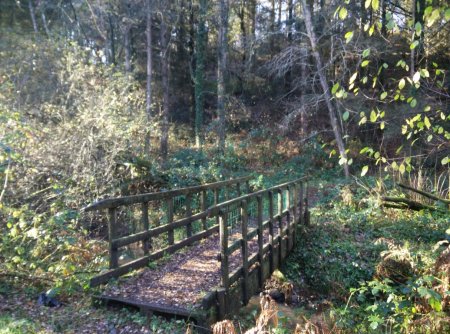 La passerelle.