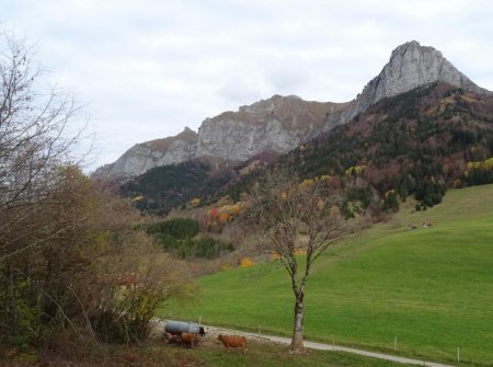 La Roche de Jarsy