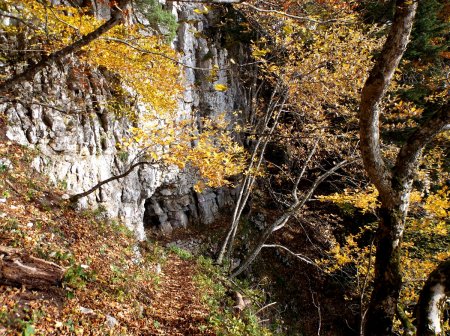 Petit passage aérien.