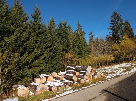 Sur la route vers le chalet de la Goille au Cerf.