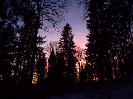 Crépuscule dans le Bois de Pétra Félix.