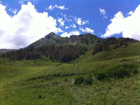 Vallon de l’Essalete