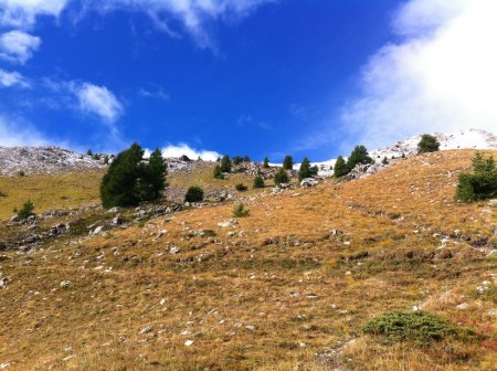 J’aperçois la neige