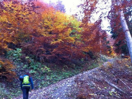 Marine dans la Forêt de couleurs