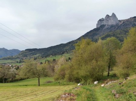 Une halte dans les prés avant d’arriver à Rovagny.