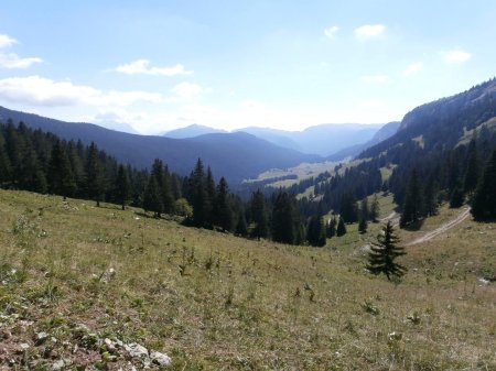 Vue sur la combe de Champ Laitier en montant au crêt de l’Ébat.