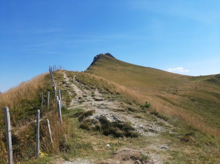 On suit l’arête...