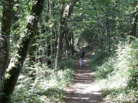 La traversée le long du mont de la Charvaz.