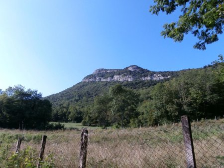 Les prairies à la sortie de la forêt, et au fond le sommet du mont de la Charvaz.