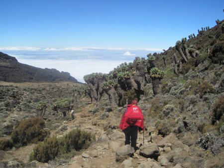 Joseph notre guide vers Barranco Camp