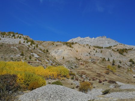 La montée vers le col de Tronchet c’était par là.