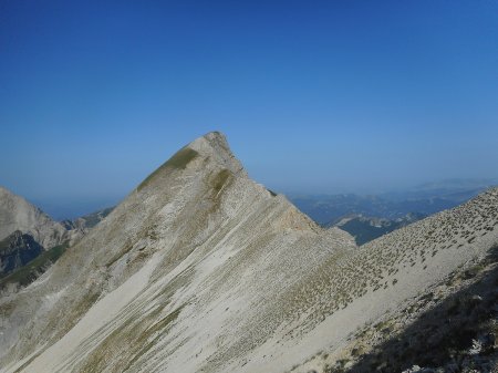 Antécime de la Tête de Vachères.