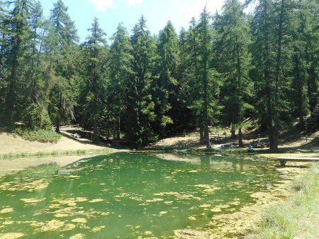 Le lac du Lauzerot.