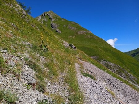 Départ raide plein soleil 