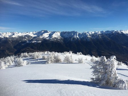 Dans le rétro.