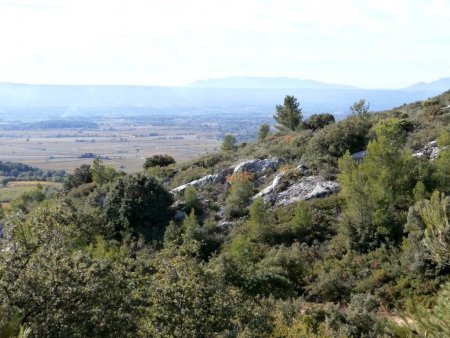 À flanc de colline sur le chemin de la Pallière. Au fond, la vallée de l’Arc et le massif du Garlaban.