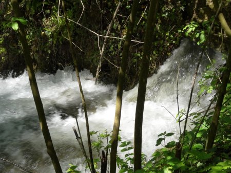 La cascade en aval du gué.